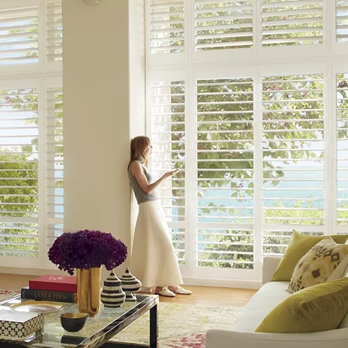 Hunter Douglas products offered by Decorating Ideas